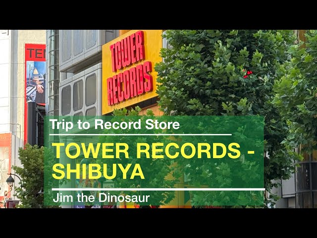 非売品 tuki. TOWER RECORDS SHIBUYA ポスター ③ 【公式通販】