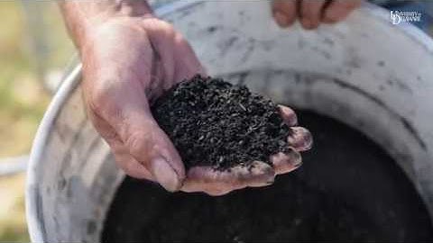 Biochar to the rescue