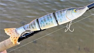 Making a Baby Musky SwimBait