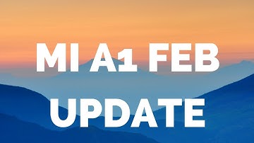 MI A1 February update all bags fixed
