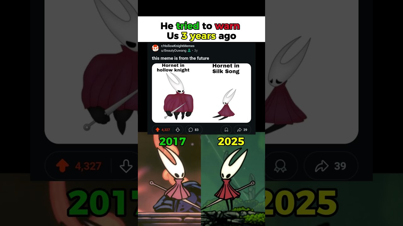 He Tried To Warn Us 3 Years Ago Hollow Knight Silksong