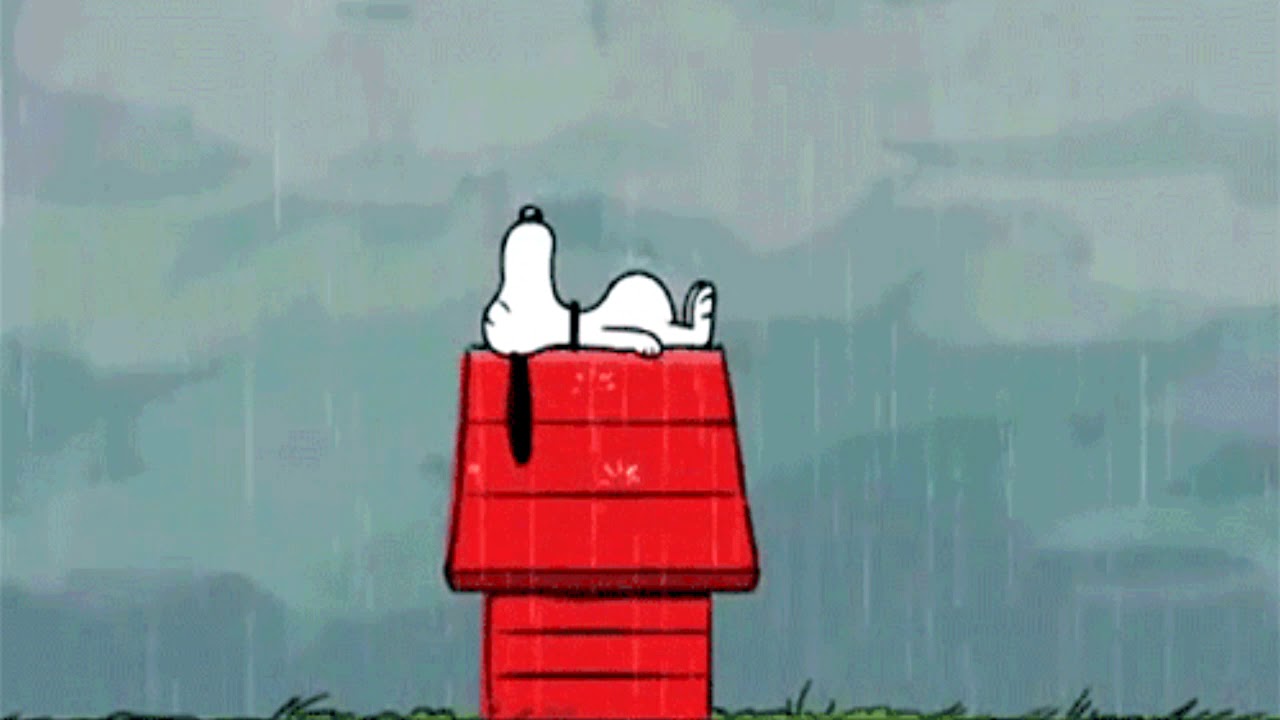 ＤＯＧＨＯＵＳＥ