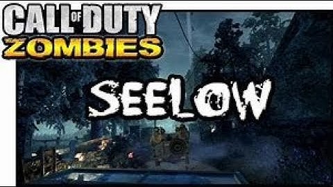 Call of Duty World at War Custom Zombies | Seelow