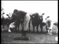 Love On A Farm Boy's Wages