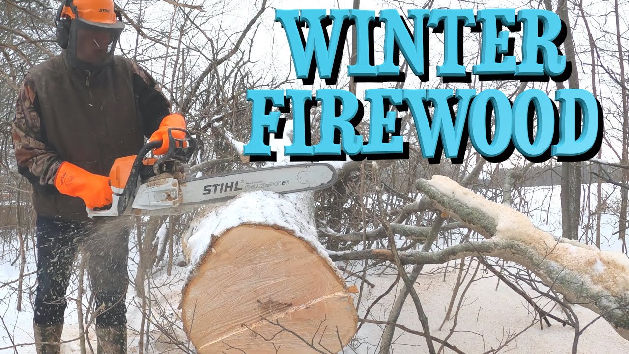 6 Reasons to Harvest & Prepare Firewood in Winter - YouTube