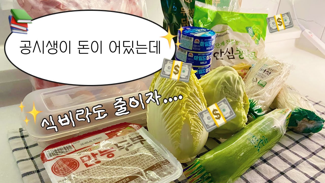 일주일 식비 2만원 쓰는 공시생 브이로그