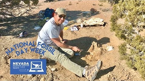 Virtual Field Trip: Nevada Dinosaurs! Eureka, NV