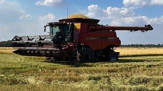 The first day of rice harvest