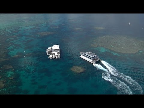 Protecting The Great Barrier Reef - Tourism