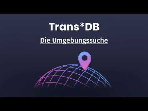 Trans*DB - Umgebungssuche und Domain Specific Language