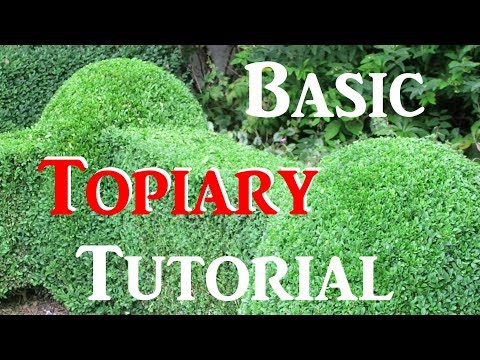 Video: Jak Vytvořit Topiary