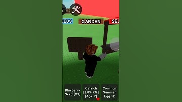 make sure you put your name in comments#roblox