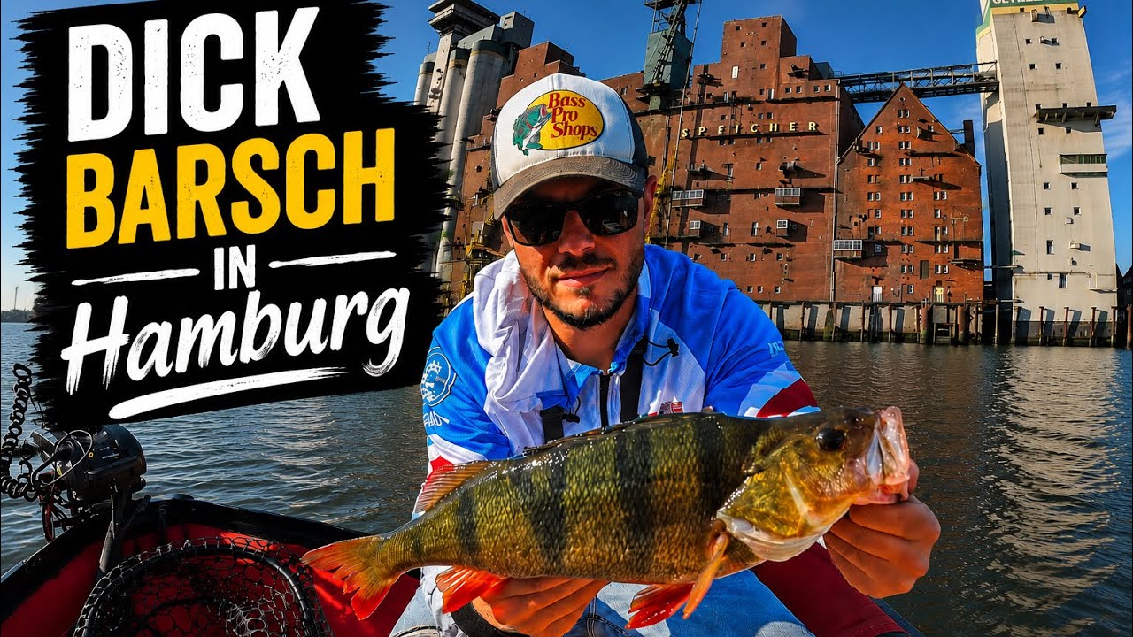 Barsch Angeln in Hamburg vom Boot