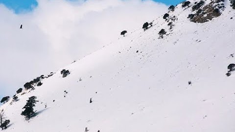 How Avalanche’s bridge to ETH and BTC could take over DeFi