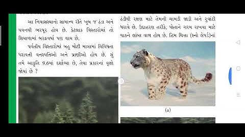 std 6 Science chepter 9 part 4 SHREEMAD DAYANAND KANYA VIDHYALAYA JAMNAGAR