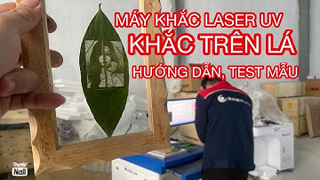 Máy Khắc Laser UV Trên Lá Cây, Hướng Dẫn Test Mẫu Khắc Hình Ảnh Trên Lá