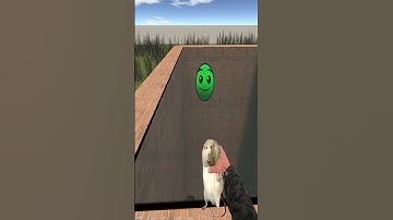 Part -1038 #garrysmod #yoshiegaming