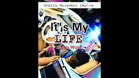 Shatta Wale - It's My Life [Sarkodie Diss] (Audio Slide)