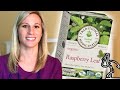 Red Raspberry Leaf Tea in First Trimester- Is it safe? How Much to Drink? | CajunStork Shorts