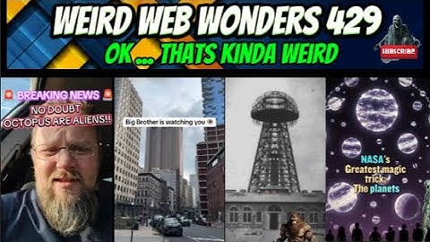 weird web wonders 429