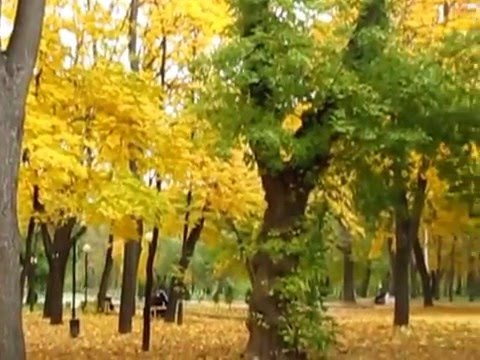 осень в ижевске фото