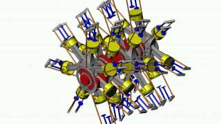 Wasp Major