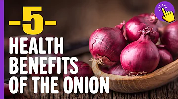 Kde se sází cibule?