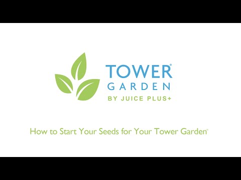 How to Start Seeds & Transplant Seedlings to Your Tower Garden®: Planting Instructions