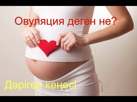 Бейне: QoS жоспарлау дегеніміз не?