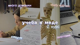 будни студента-медика| study with me| дневник студентки| много учебы