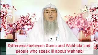 Perbedaan Sunni & Wahabi dengan Orang yang Menjelek-jelekkan Wahabi - Assim al hakeem