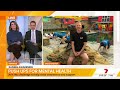 SeaWorld sea lion joins mental health push-up challenge | Sunrise