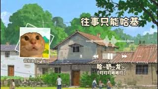 Hachimi mr biao tiktok version 