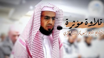 استمع وقلبك مطمئن 🎧 | من أجمل ما قرأ الشيخ شيخ أبو بكر الشاطري | التين والقدر | تلاوة تخطف الأنفاس