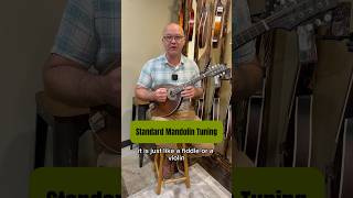 How to tune your mandolin to standard tuning! #mandolin #mandolininstrument #mandolintuning