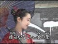 さざんかの宿 さざんかの宿