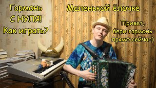 видео: Как научиться играть на гармони с нуля Маленькой ёлочке? Лучший способ от Саши Бери гармонь и играй! картинка: Как научиться играть на гармони с нуля Маленькой ёлочке? Лучший способ от Саши Бери гармонь и играй!