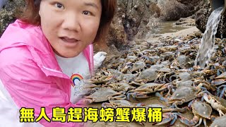 小漁凌晨無人島趕海，螃蟹輕鬆爆桶，直呼賺大錢太爽了【漁小仙】