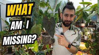 Why Your Houseplants Aren’t Growing… And What to Check Before Changing Anything 😬🌿