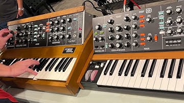 Synth Commune Minimoog Session