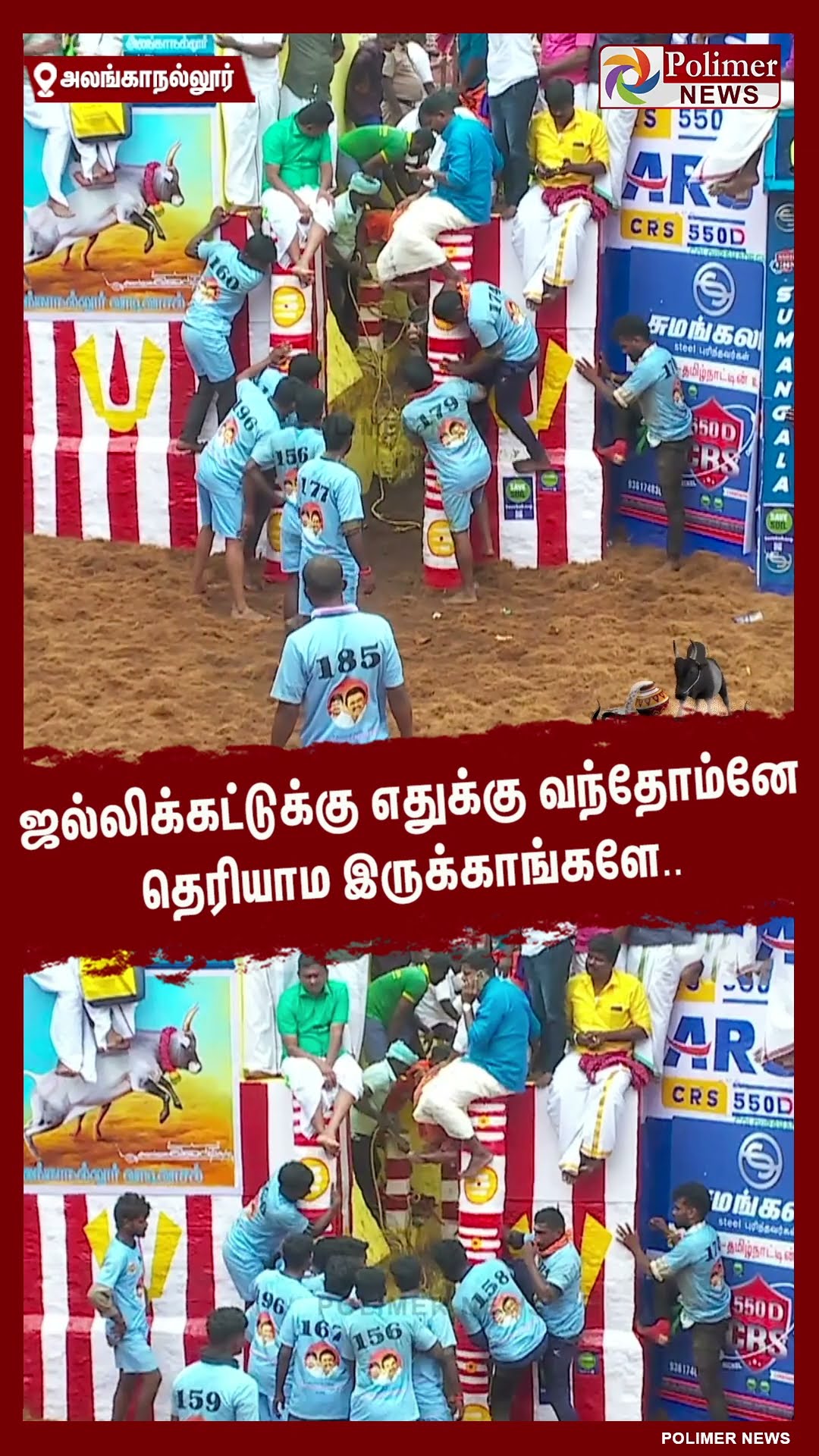 ஜல்லிக்கட்டுக்கு எதுக்கு வந்தோம்னே தெரியாம இருக்காங்களே.. #shorts | #alanganallurjallikattu