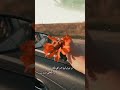 خوفي قلك شو بحسلك ان اعجبك الفيديو لا تنسى الاشترك بحبكم ادعموني بليز خوفي قلك شو بحسلك ان اعجبك الفيديو لا تنسى الاشترك بحبكم ادعموني بليز