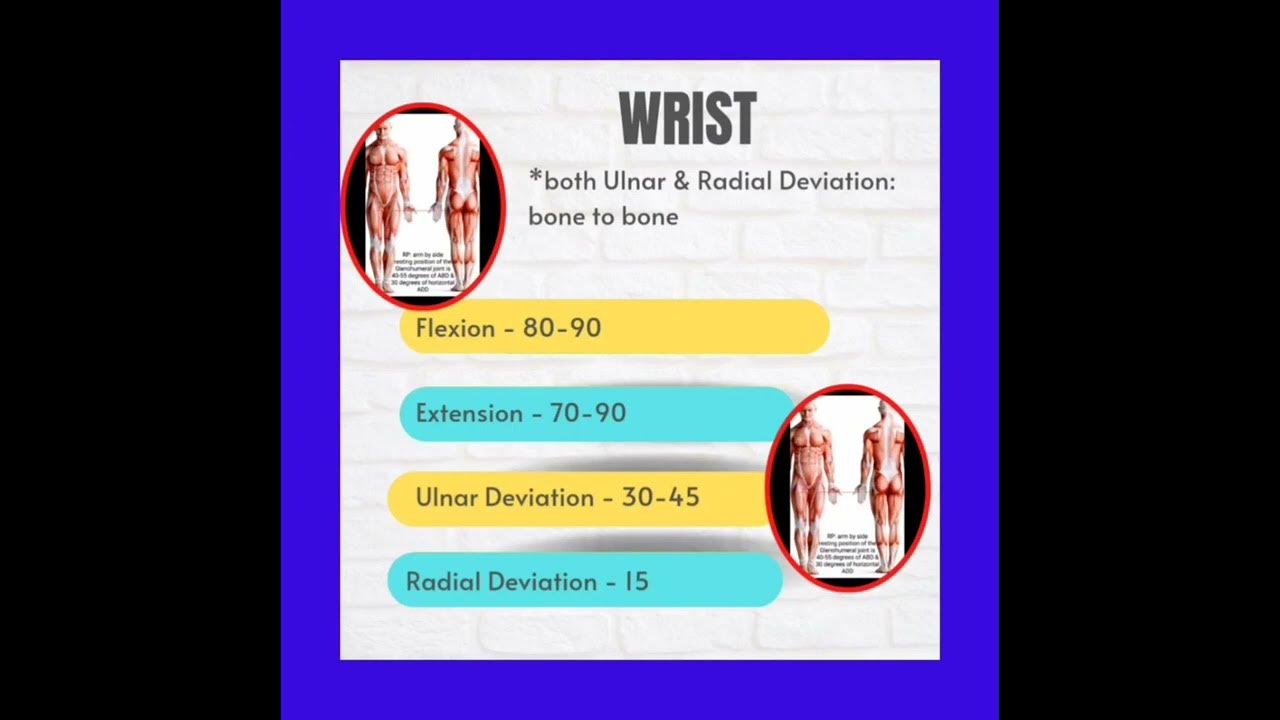 WRIST JOINTSResting PositionClosed Packed PositionCapsular Pack