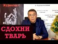 Сдохни тварь! О чем вы думаете, когда готовите оливье?