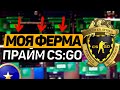 МОЯ ФЕРМА ПРАЙМ CS:GO / ДОХОД ФЕРМЫ АККАУНТОВ!