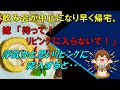 【修羅場】飲み会が中止になり早く帰宅。嫁「待って！ﾘﾋﾞﾝｸﾞに入らないで！」浮気かと思いﾘﾋﾞﾝｸﾞに突入すると・・・
