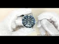 Omega seamaster professional 253580 diver 300m gmt review  watch vault nyc
