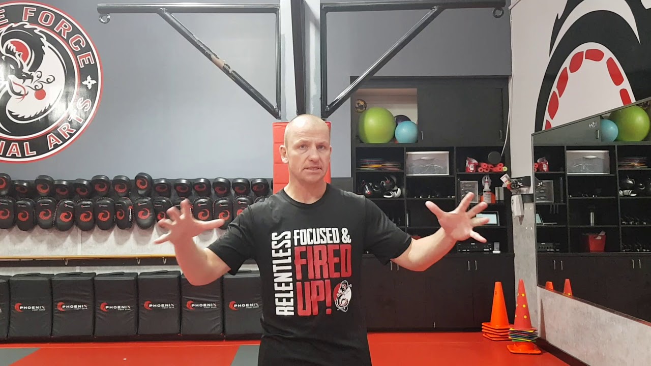 Elite Force Martial Arts Increase the outputs that matter YouTube