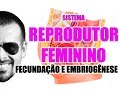 Embriologia: Fecundação, nidação e formação do embrião - Sistema Reprodutor Feminino - VideoAula 052