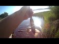 Летняя рыбалка. Утренний клёв краснопёрки. Рыбалка на озере Ущо в Псковской области.